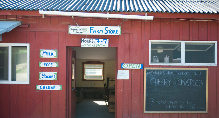The front of the store at Temple-Wilton Community farm advertises milk, eggs, yogurt and cheese.